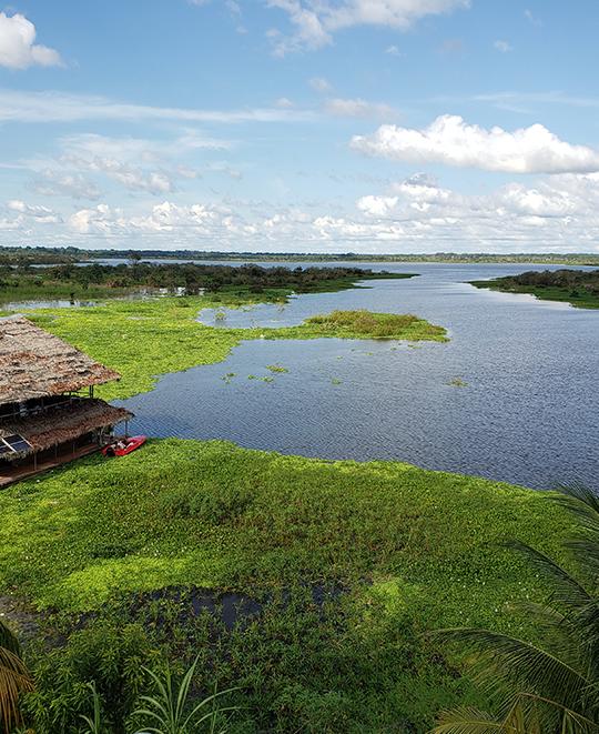从伊基托斯市俯瞰亚马逊河.